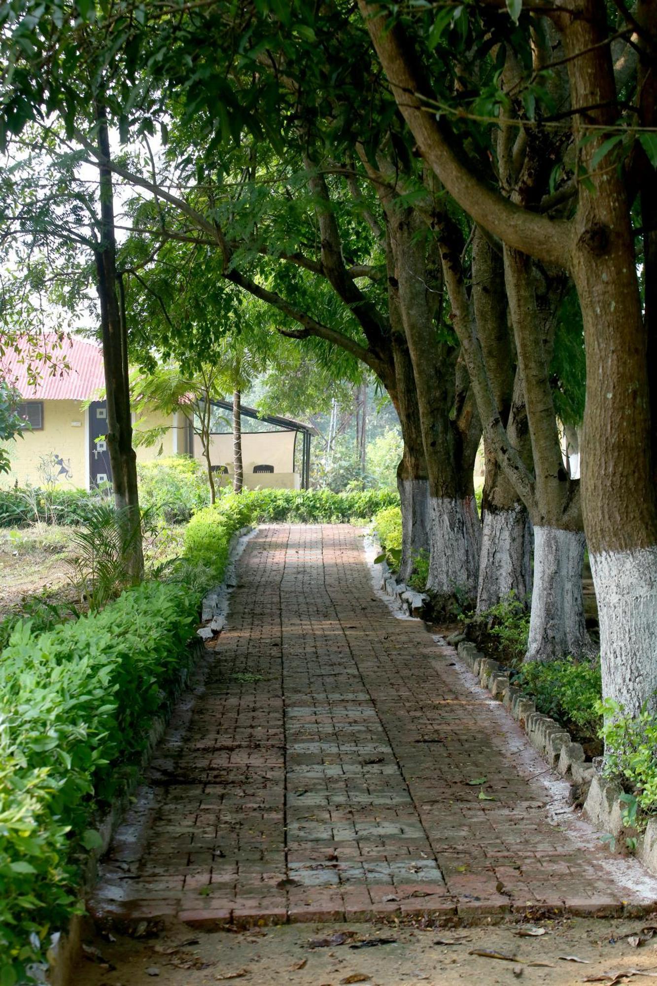 Tribal Wood Resort Dhanwār 外观 照片