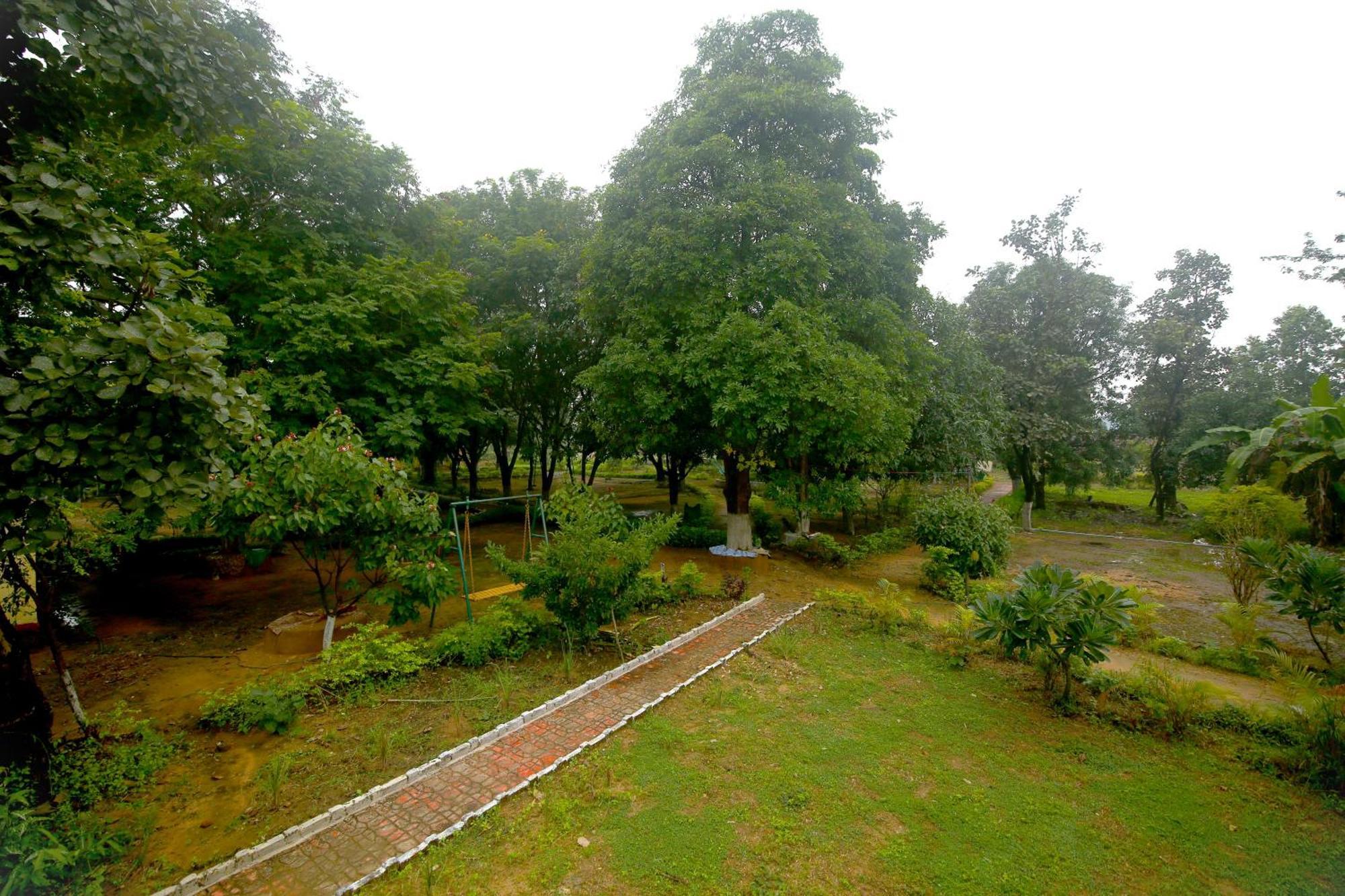 Tribal Wood Resort Dhanwār 外观 照片